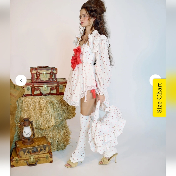 Selkie La Fraise Cake Shop Dress W/Shrug - Picture 16 of 16